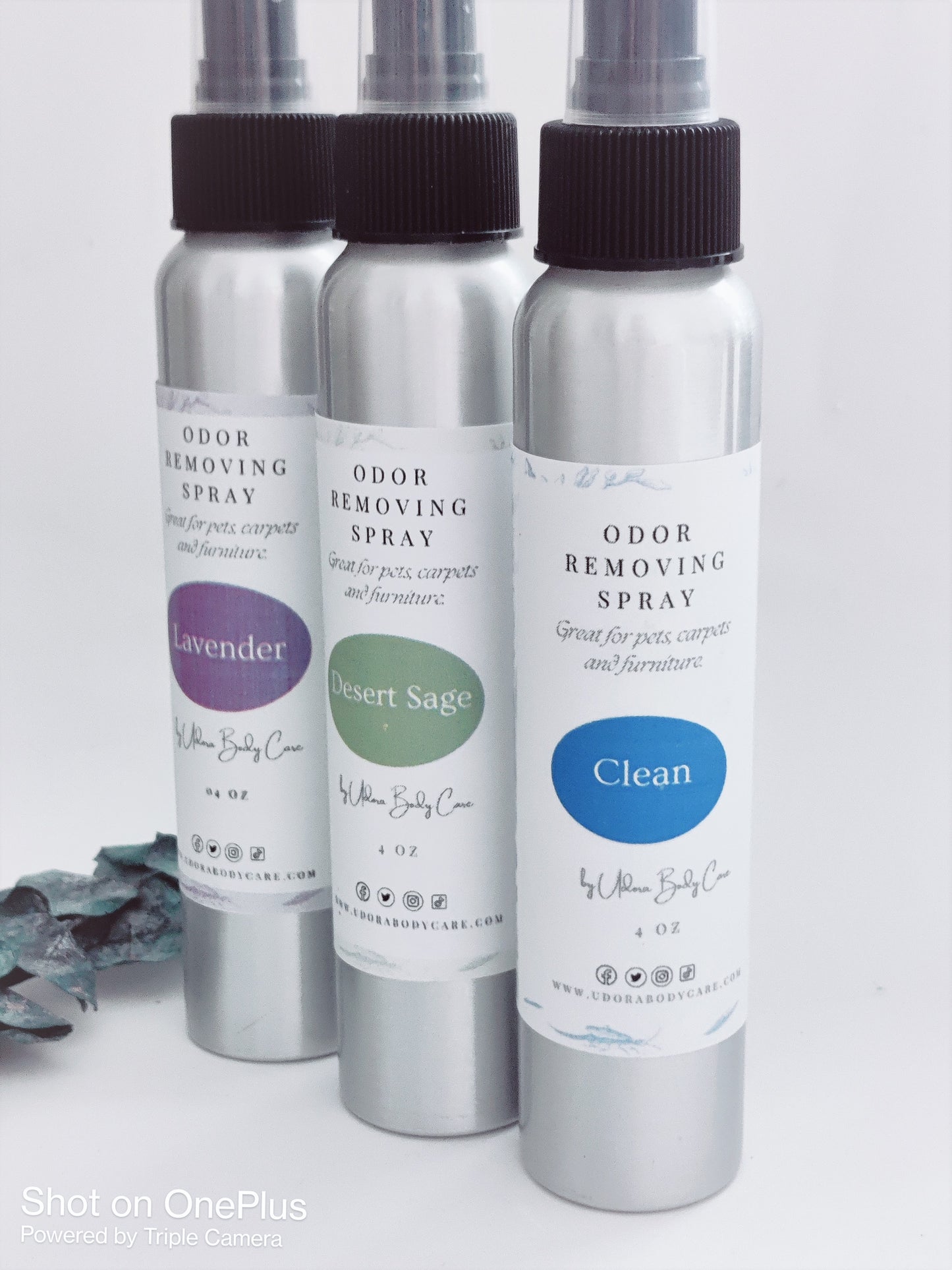 Odor Removing Spray ~Room Deodorizer 4 fl oz ~ Click To Select Scent