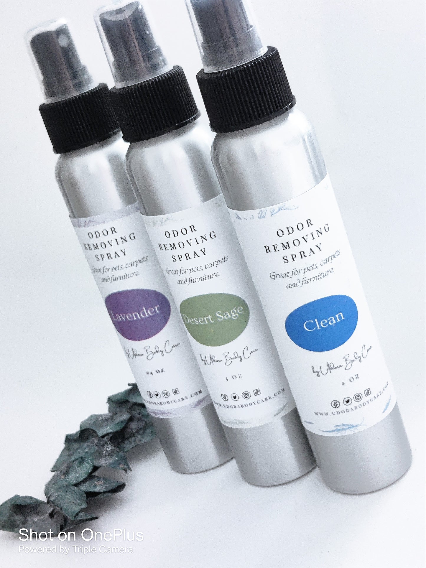 Odor Removing Spray ~Room Deodorizer 4 fl oz ~ Click To Select Scent