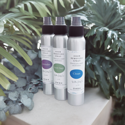 Odor Removing Spray ~Room Deodorizer 4 fl oz ~ Click To Select Scent